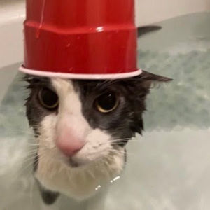 Meet your Posher, Sherlyn